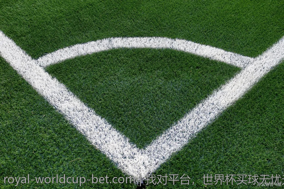 找对平台，世界杯买球无忧无虑