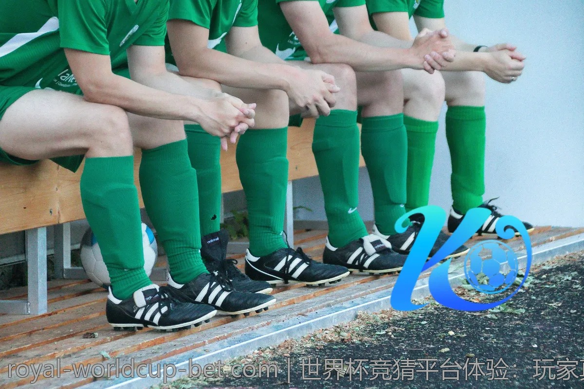 世界杯竞猜平台体验：玩家真实反馈与建议