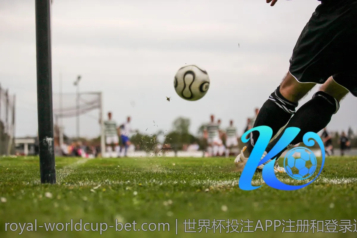 世界杯投注APP注册和登录过程详细解析