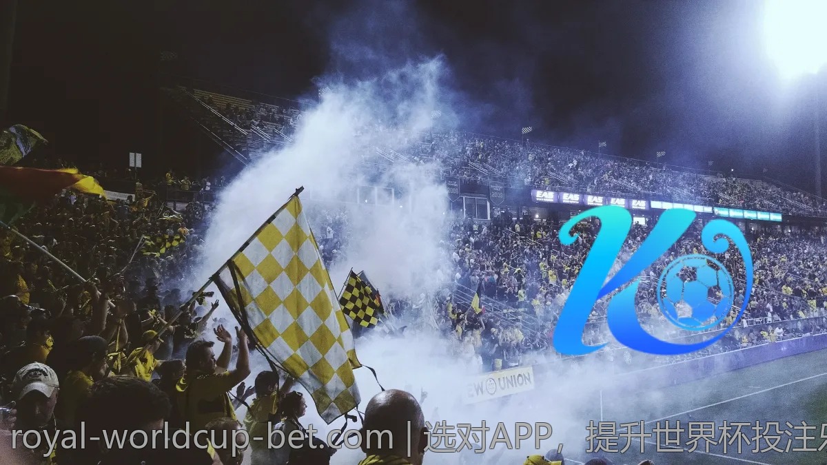 选对APP，提升世界杯投注乐趣的技巧